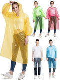 Pocket Rain Card - Pack of 2